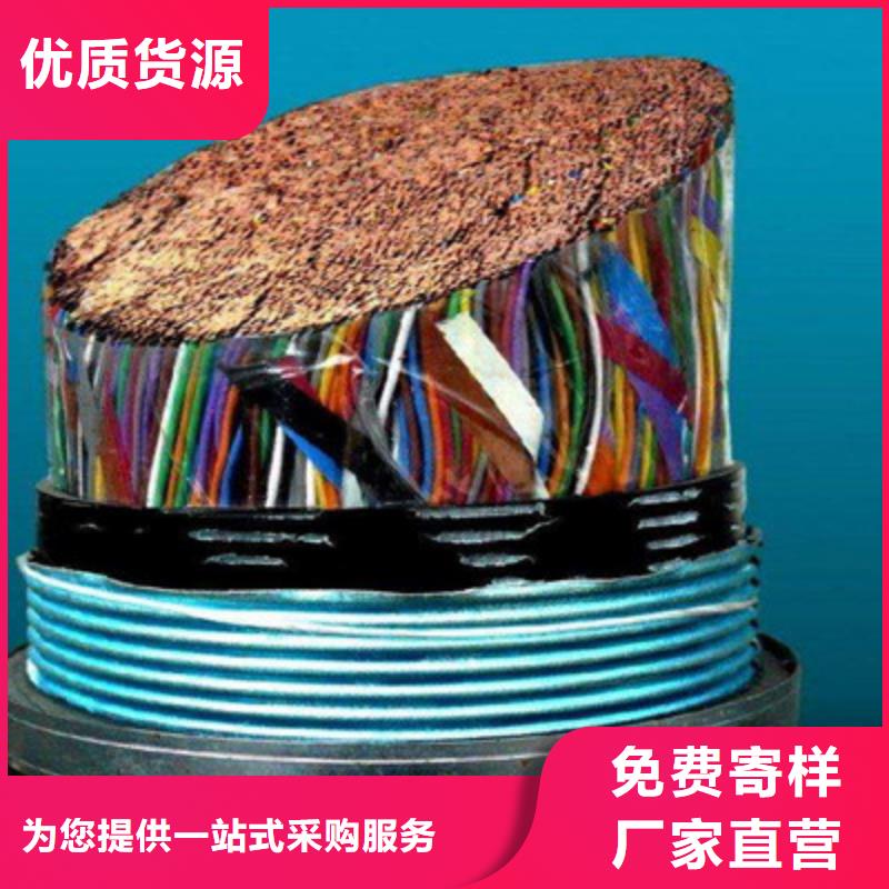 RS232/RS485通讯电缆2对0.5