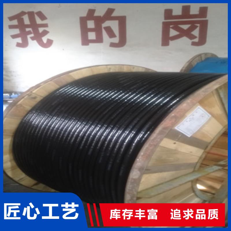 BELDEN-YJ29560通讯电缆价格公道