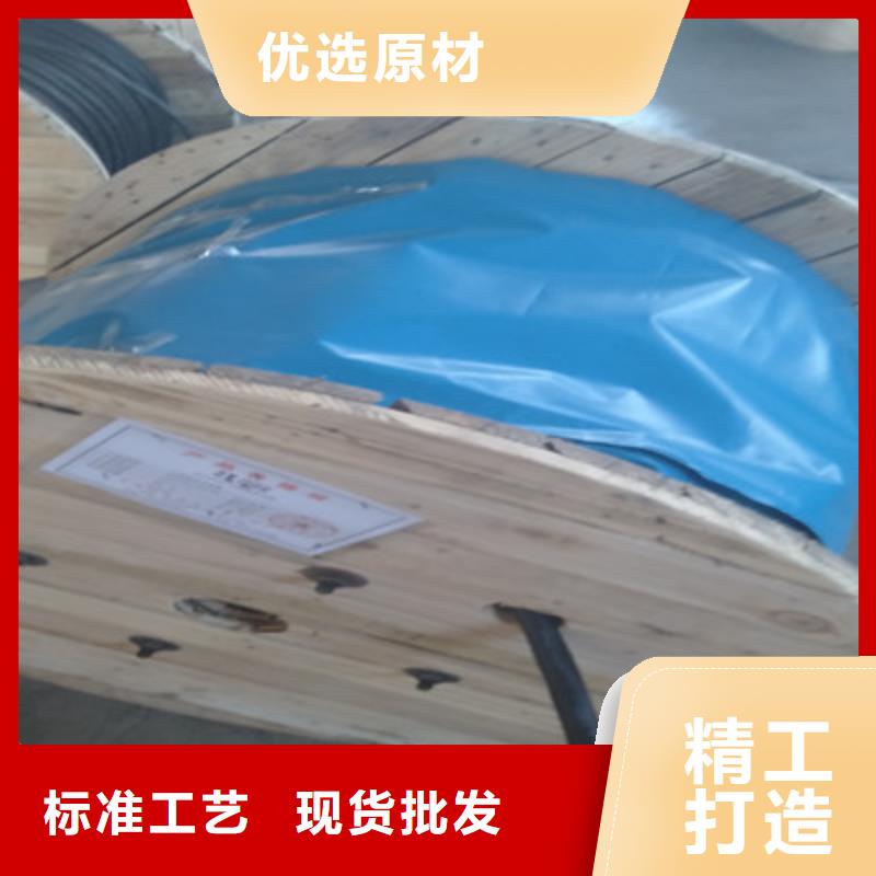 HCTEVS灰色通讯电缆10X0.2
