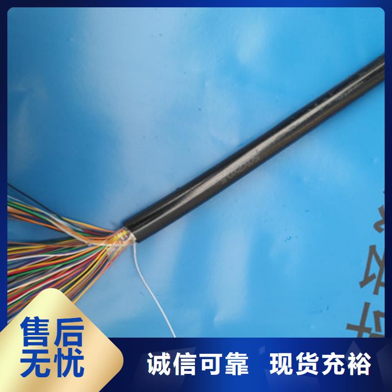 阻燃通讯电缆ZR-FB-HPVP诚信企业