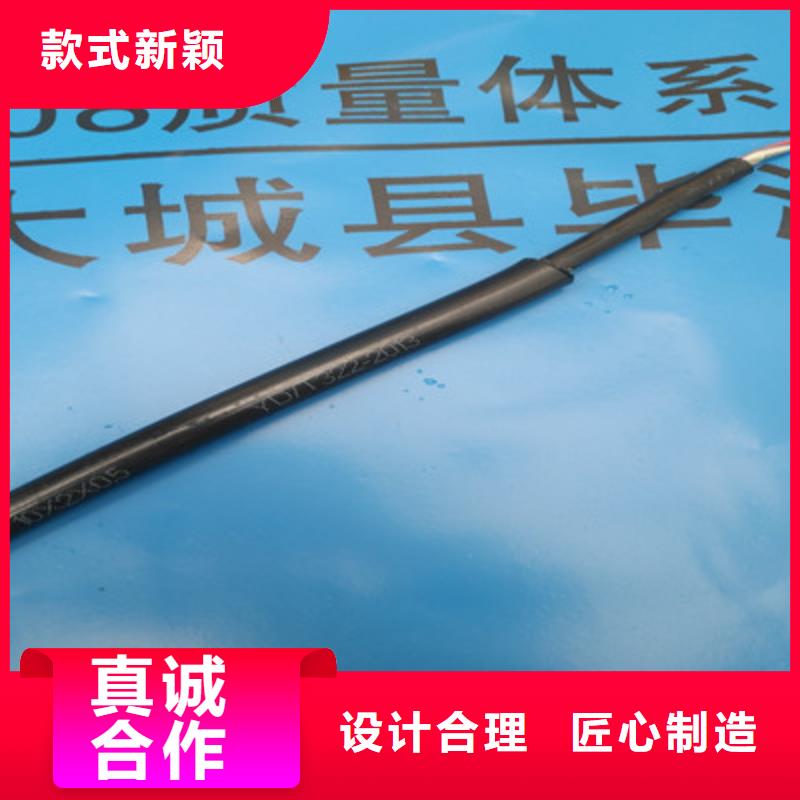 BELDEN-YJ29560通讯电缆放心选择