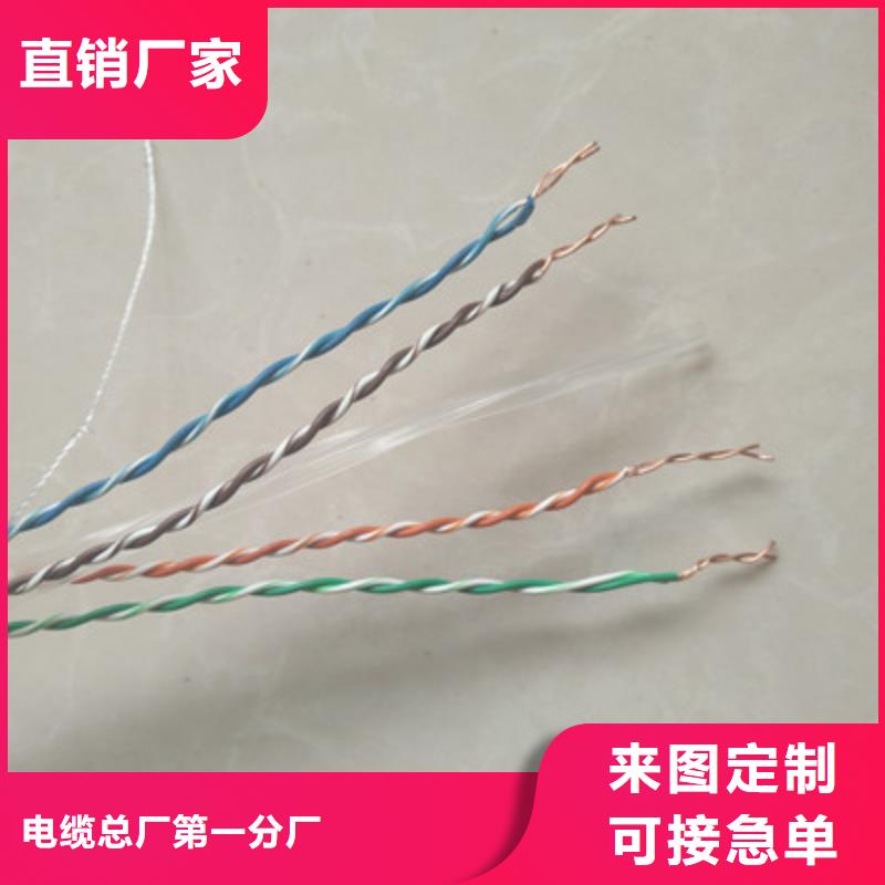 阻燃广播线ZR-HYPV种植基地