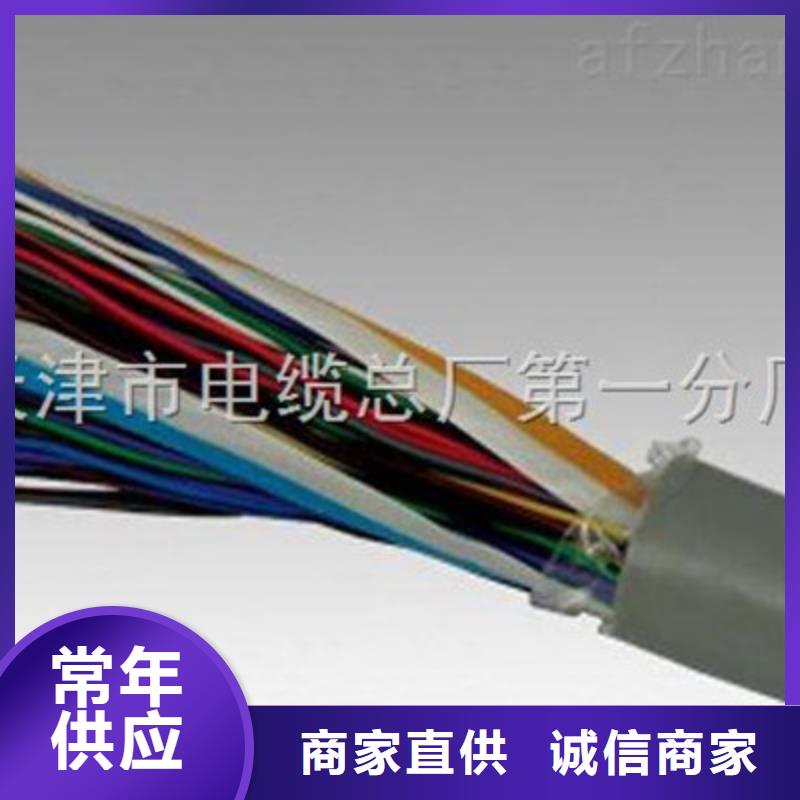 铠装通讯电缆ASTP-1202对1.5