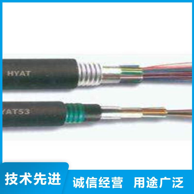 呼叫通讯电缆HJYVPZR/SA质量放心