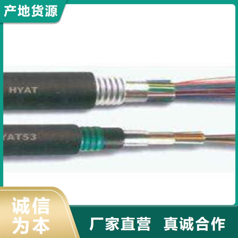 BELDEN-YJ29560通讯电缆价格公道