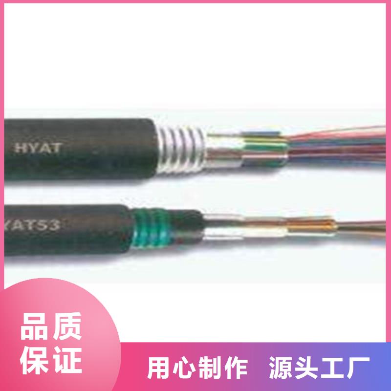 CC-LINKFANC-SB紫色通讯电缆3X1.0
