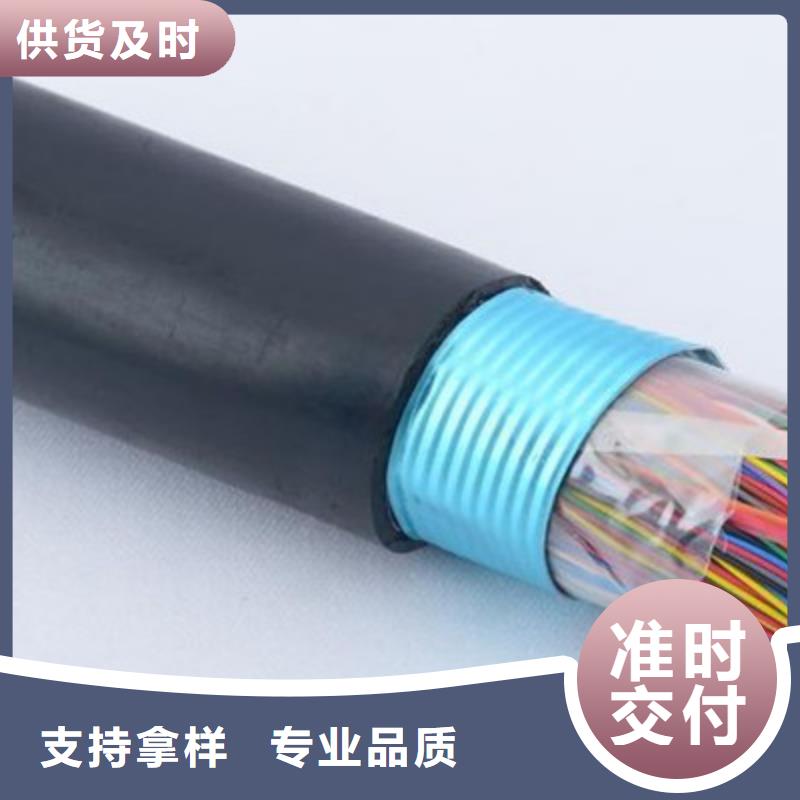 通讯电缆CO-IREV-SX12X1.0