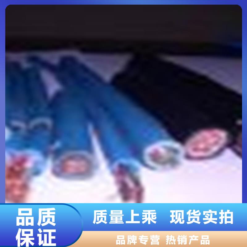 WDZBLSZHBUS低烟无卤绿电缆口碑好
