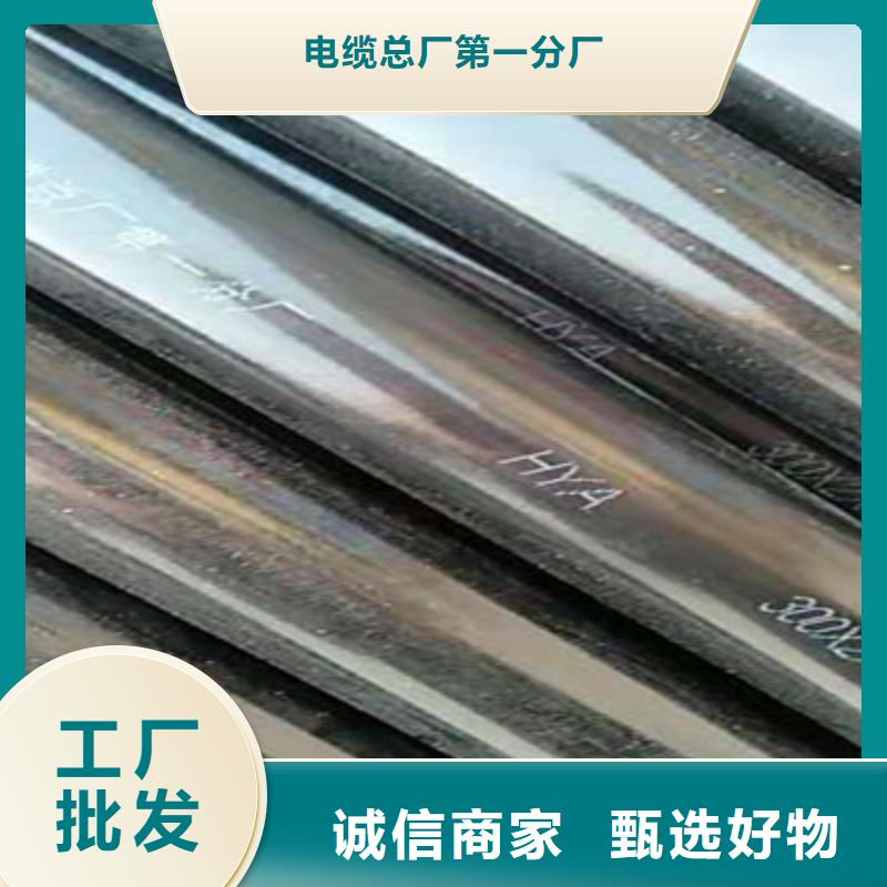 CC-LINKFANC-SB紫色通讯电缆3X1.0