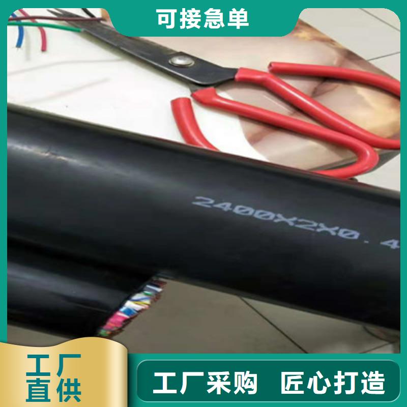 BVVSP软芯双绞电缆量大从优