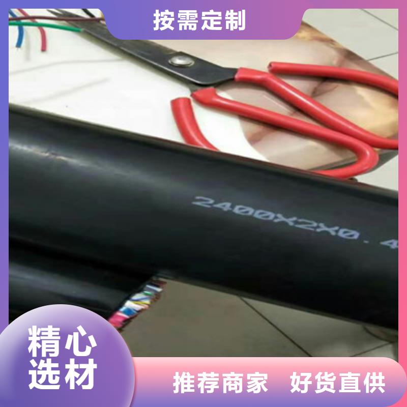 通讯电缆CO-IREV-SX12X1.0