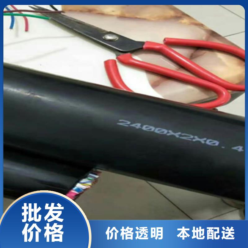 RS232/RS485通讯电缆2对0.5