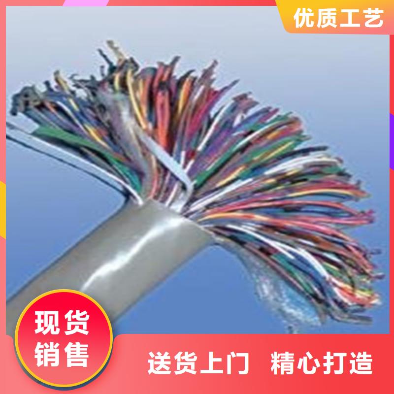 呼叫通讯电缆HJYVPZR/SA质量放心