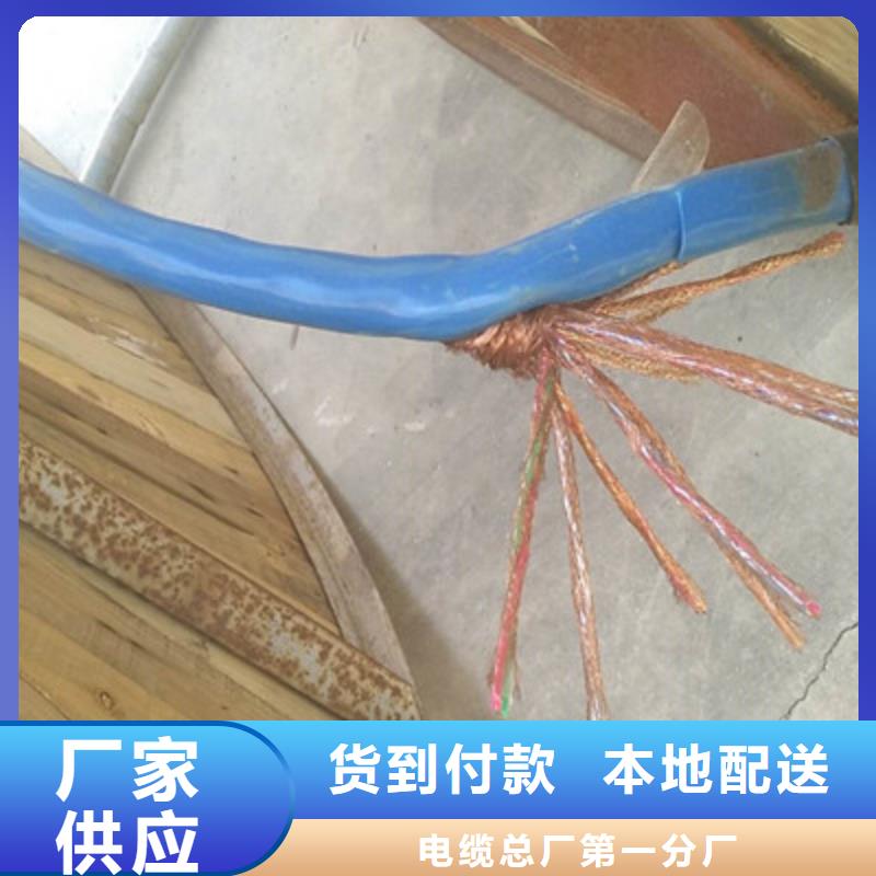 本地的耐火计算机电缆NH-DJYJVP3-22生产厂家