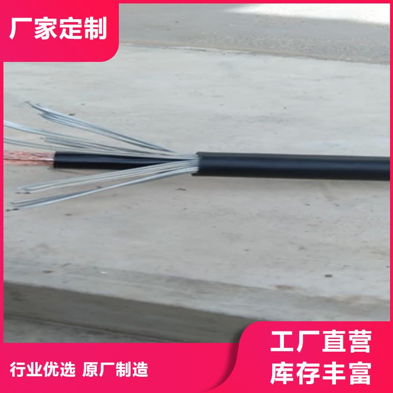 铠装计算机电缆DJYJP3V223X1.0
