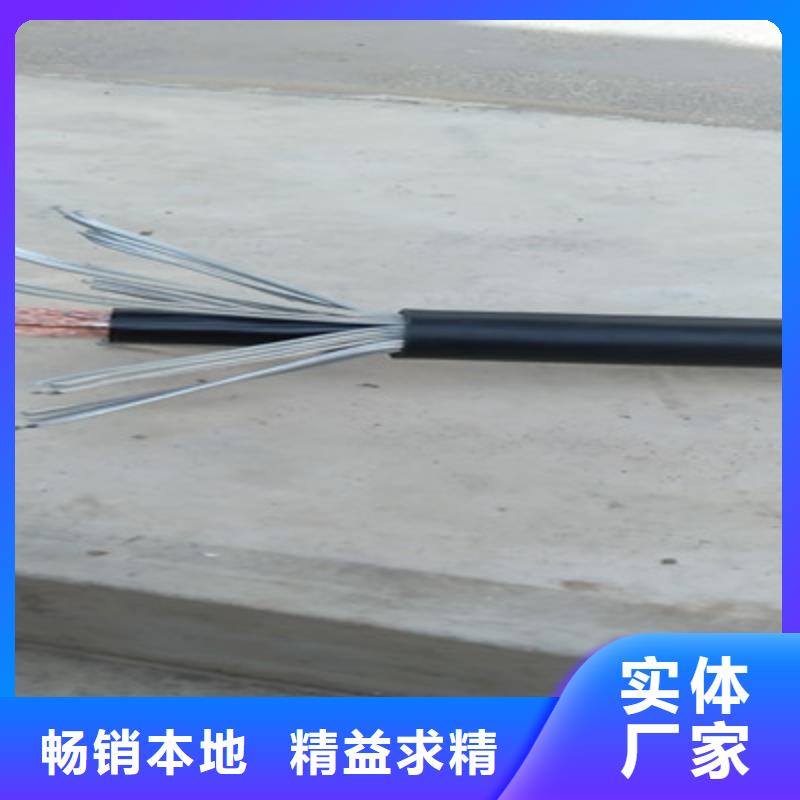ZR-CHYVRP82钢丝编织电缆7X2X2.5