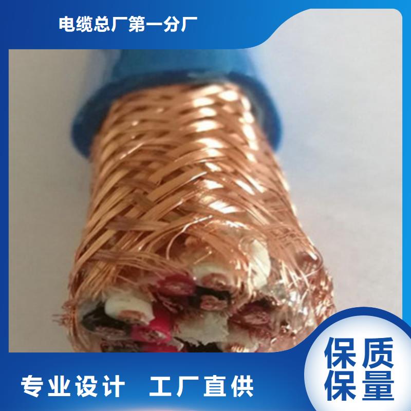 铠装计算机电缆DJYJPVP22质优价廉