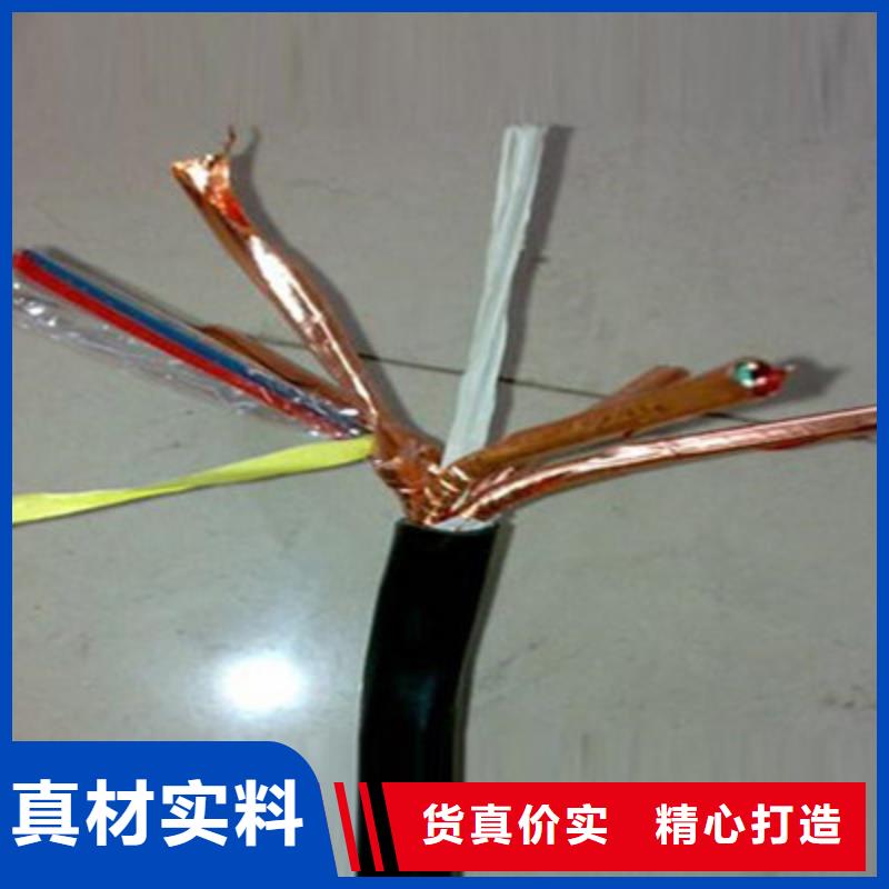 计算机屏蔽电缆JYPV-ZB市场价