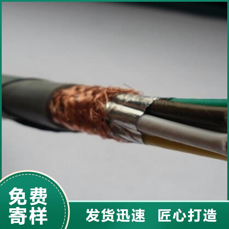耐火计算机电缆NH-DJYJP2VR1X2X2.5