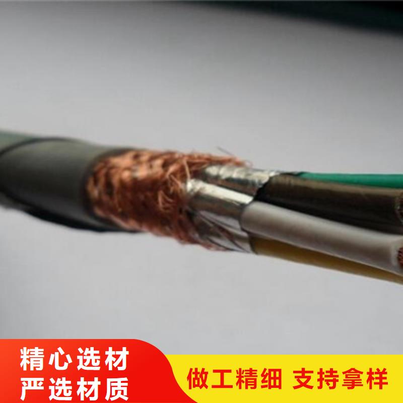 铠装计算机电缆DJYJPVP22质优价廉