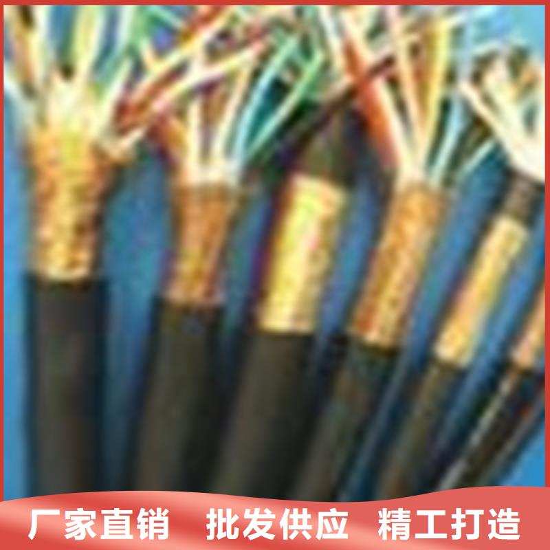 DJVVP22计算机屏蔽电缆获取报价