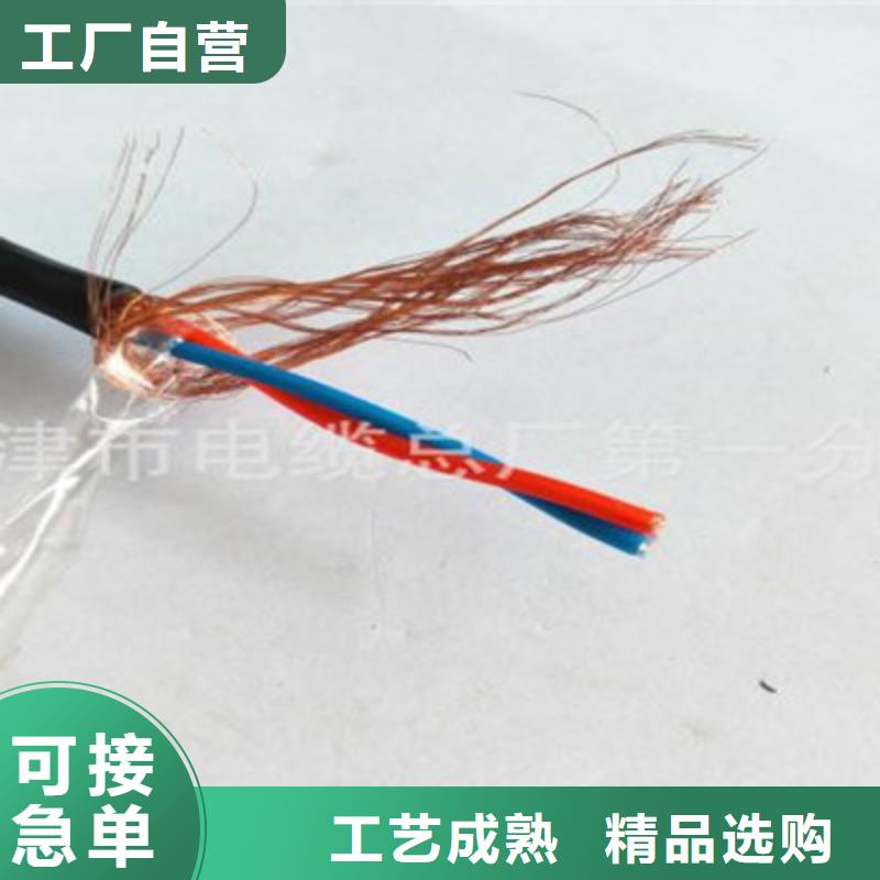 供应IA-RVVPL屏蔽电缆的厂家