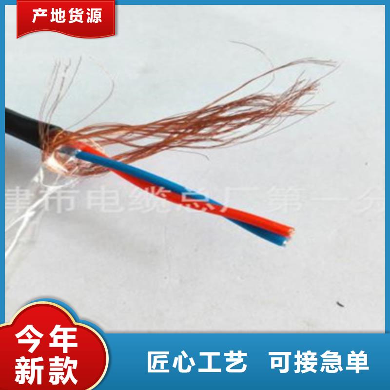 阻燃计算机电缆ZR-JYPVR22购买