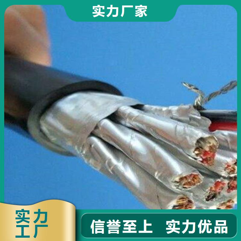 铠装计算机电缆DJYJPVP22质优价廉