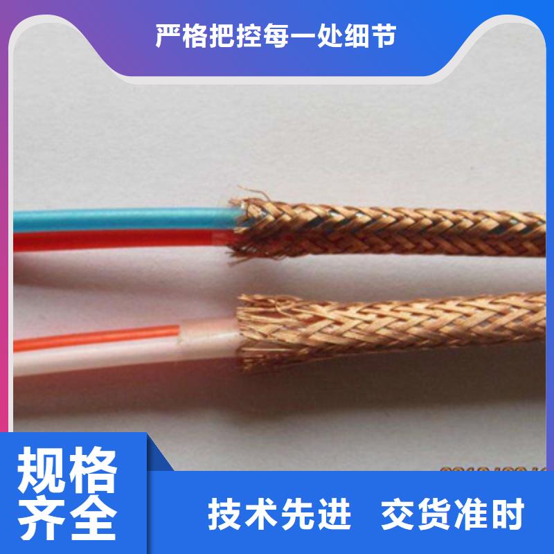 耐火计算机电缆NH-DJYVP32X2X2.5