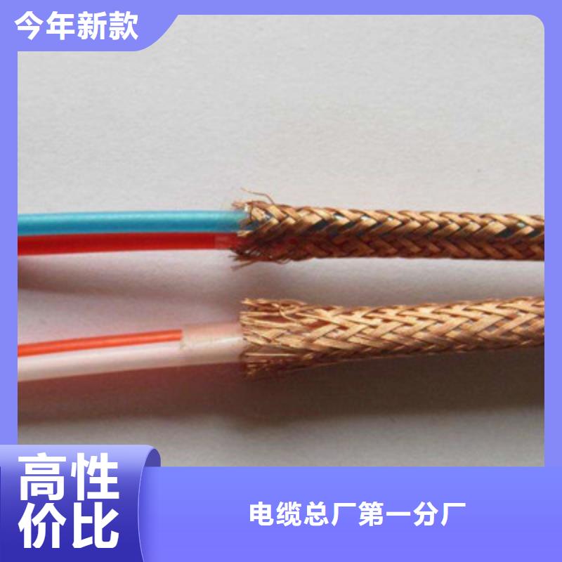 计算机屏蔽电缆DJYJVP2-22总代直销