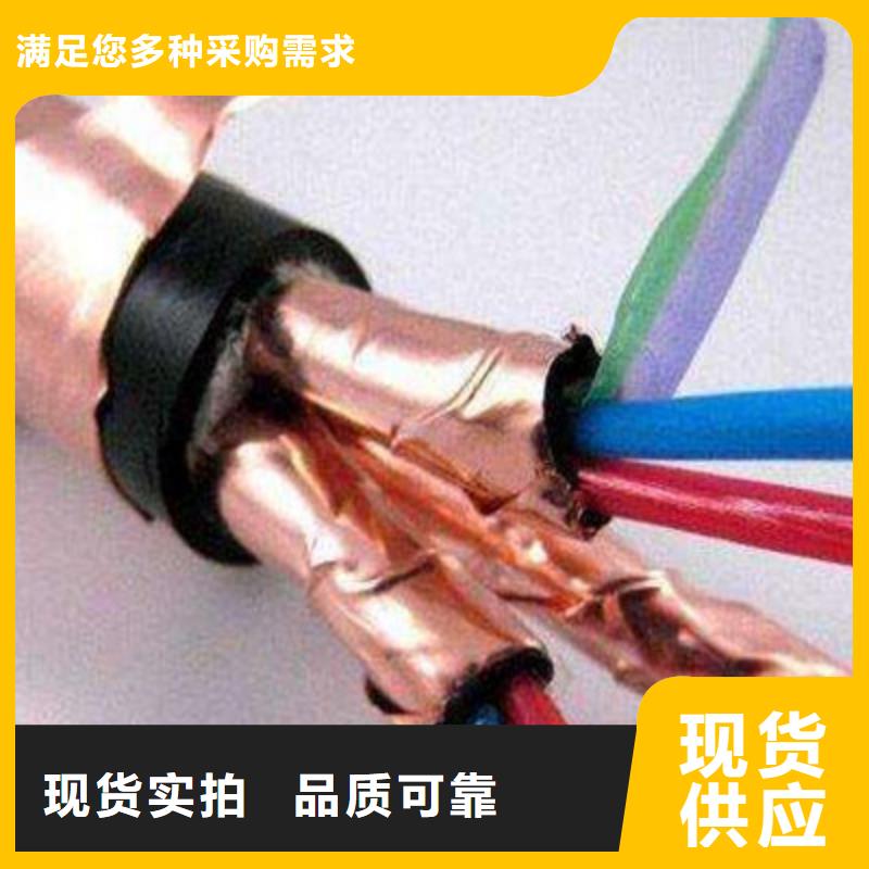 计算机电缆-信号电缆库存齐全厂家直供