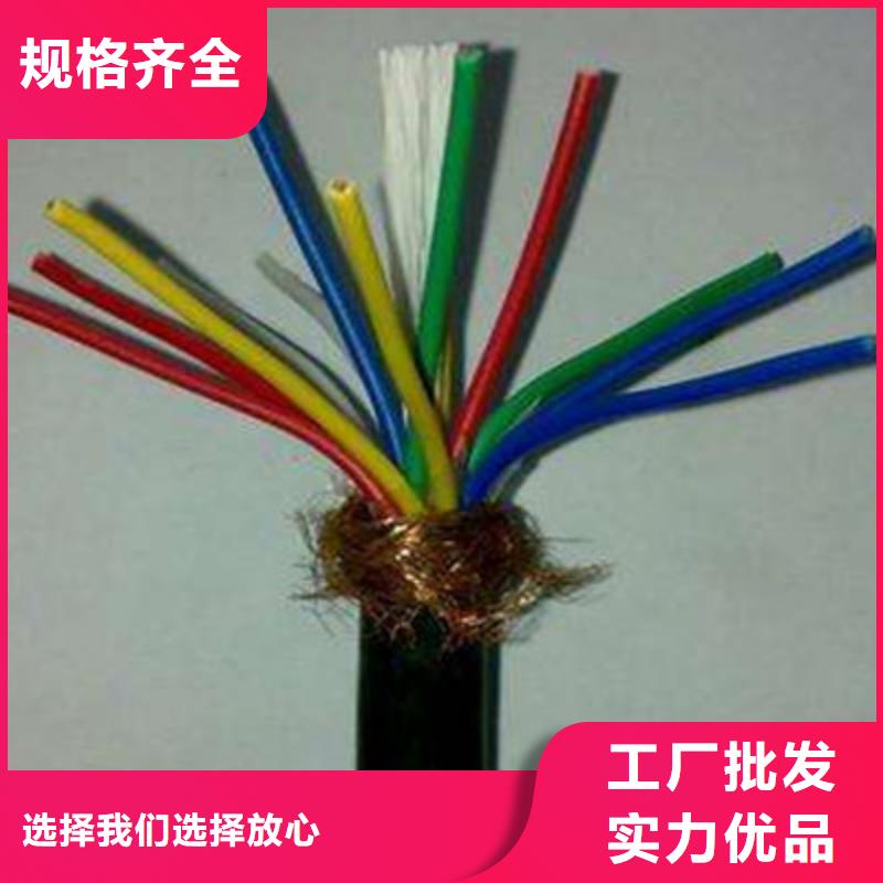 计算机屏蔽电缆DJYJVP2-22总代直销