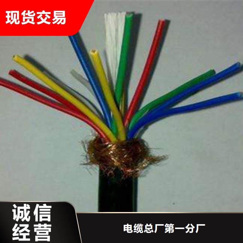 NH-DJVP3VR耐火计算机电缆量大从优