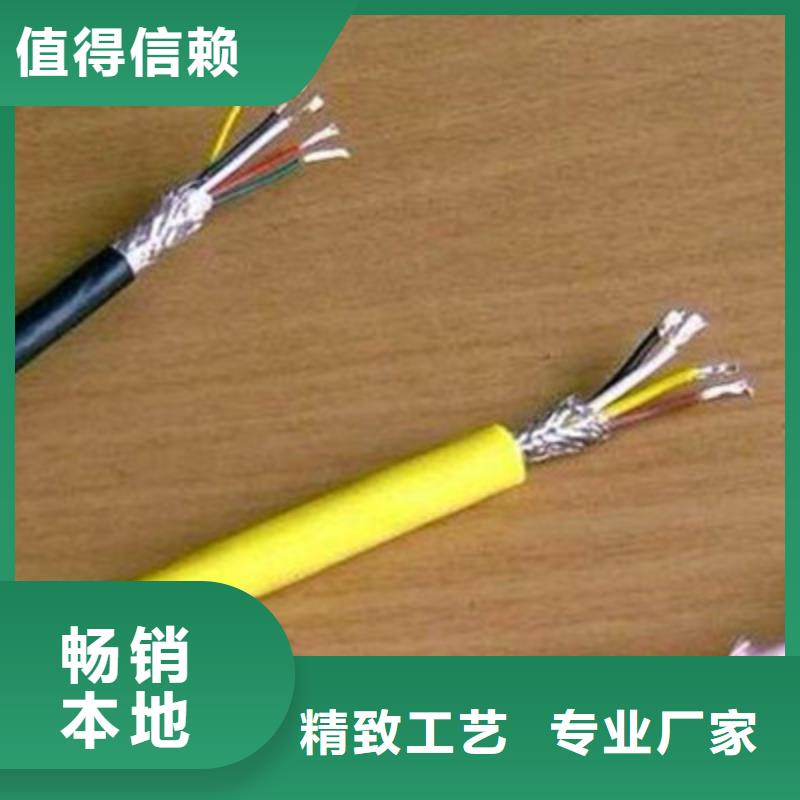 DJVVP22计算机屏蔽电缆获取报价