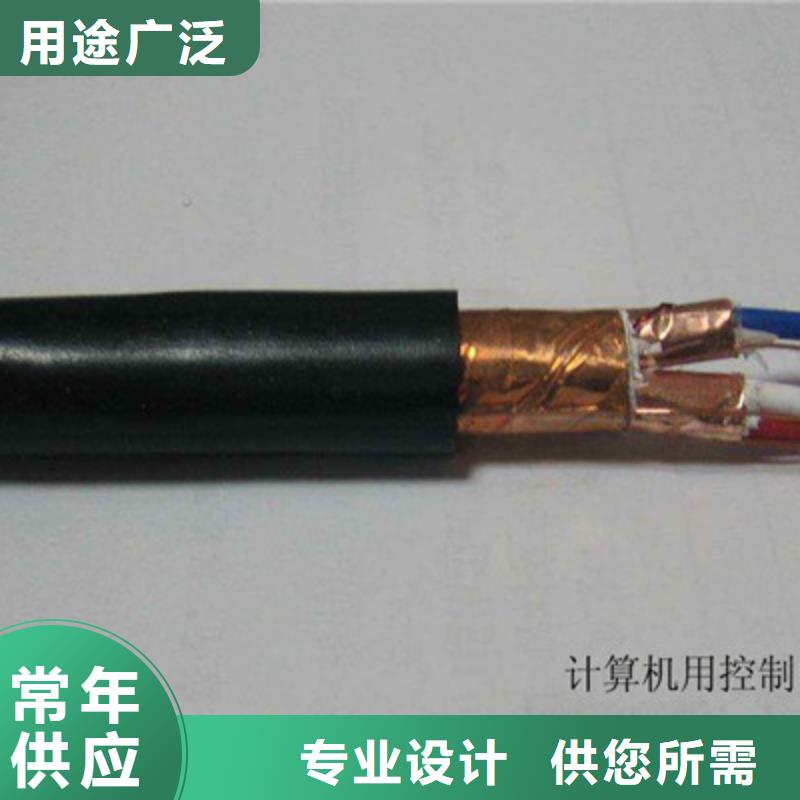 DJYJP3VP3-22计算机屏蔽电缆12X2X1.0