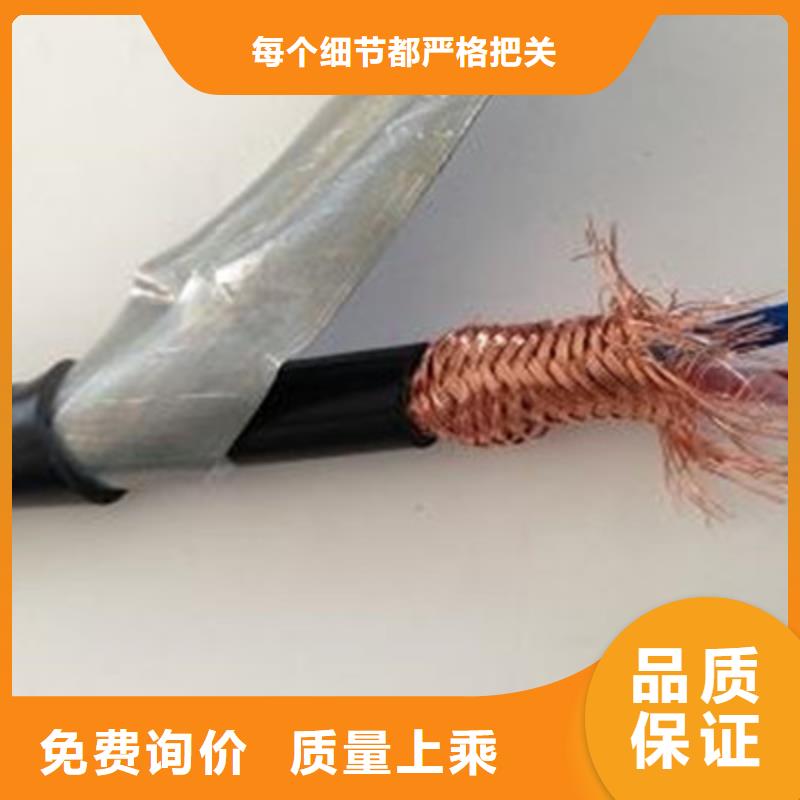 耐火计算机电缆NH-DJYVP32X2X2.5