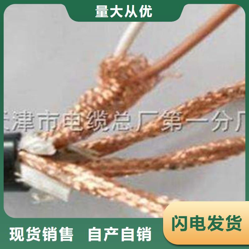 有现货的ZR-RYSPVP阻燃计算机电缆生产厂家