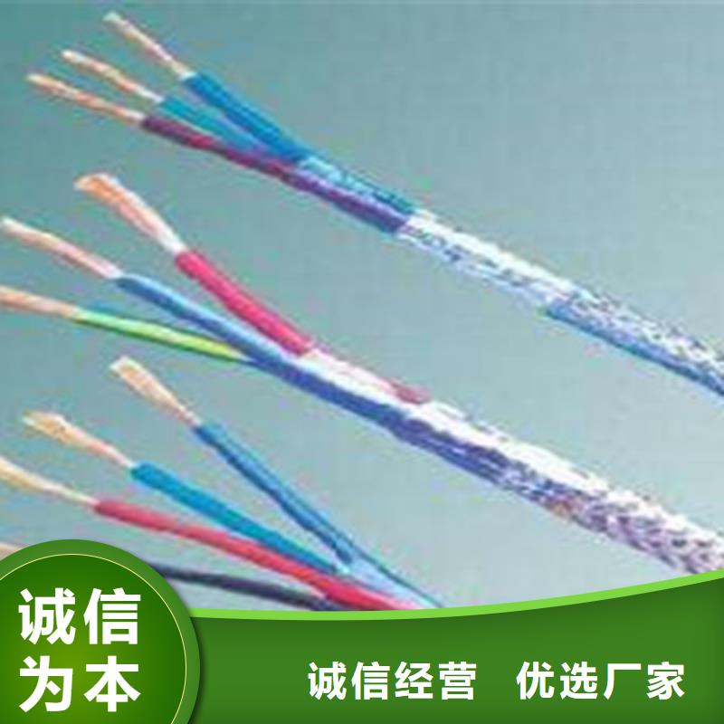铠装计算机电缆JYPV-ZB6X2X2.5