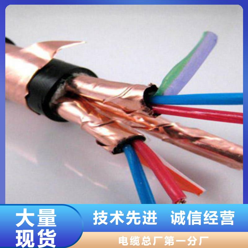 供应IA-RVVPL屏蔽电缆的厂家