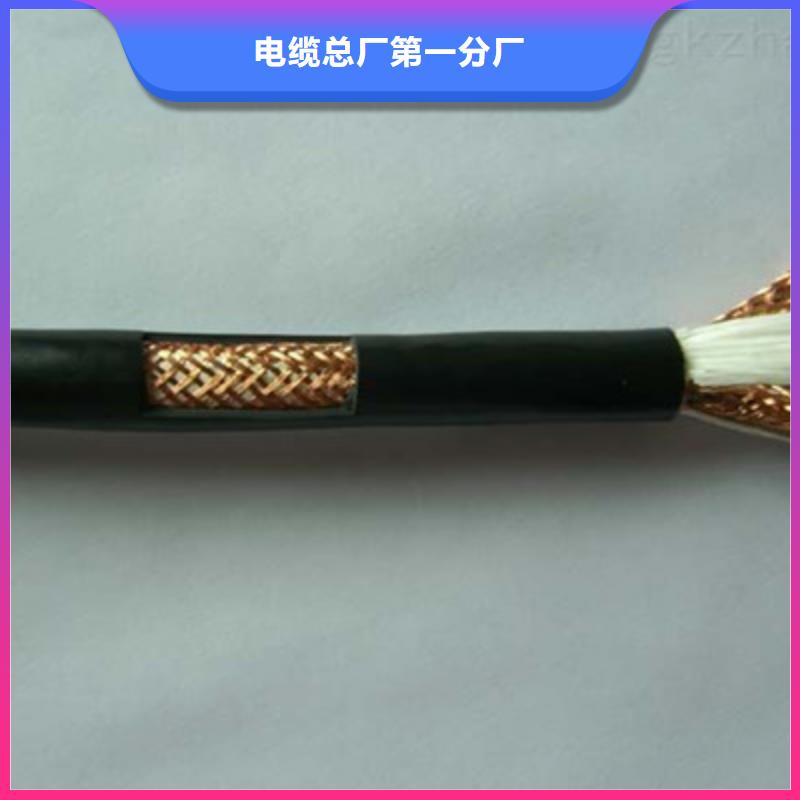 阻燃计算机电缆ZR-DJYJP2VR4X2X1.0
