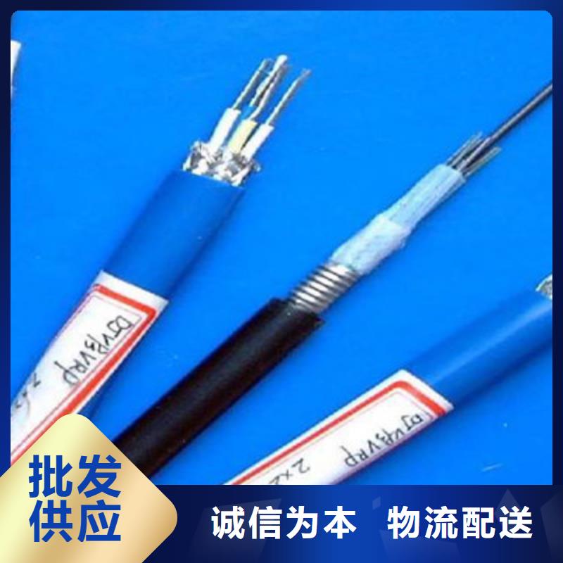 铠装计算机电缆DJVVPR14X2X0.75