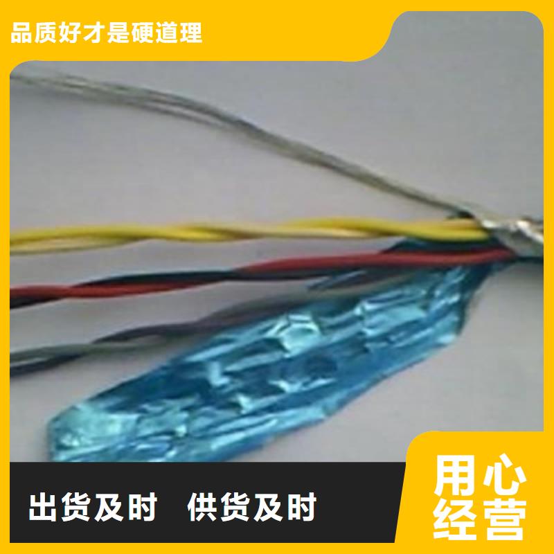 NH-DJYJPVR耐火计算机电缆公司