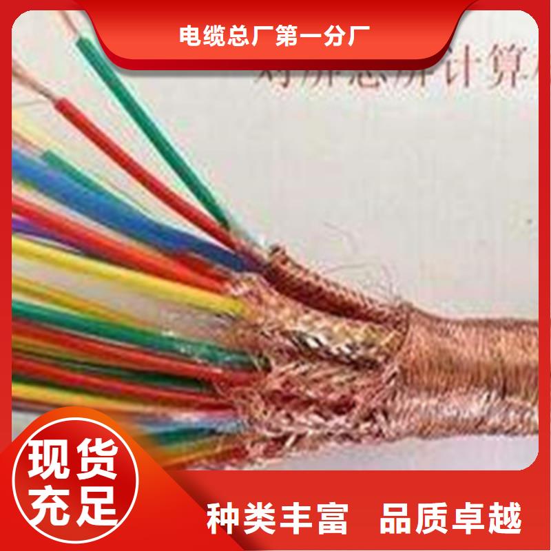 阻燃计算机电缆ZR-JYPVR22购买