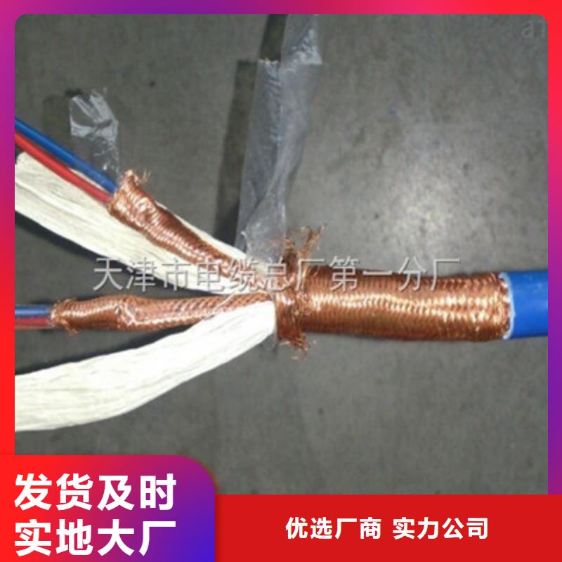 优质计算机屏蔽电缆DJYJPVPR的供货商