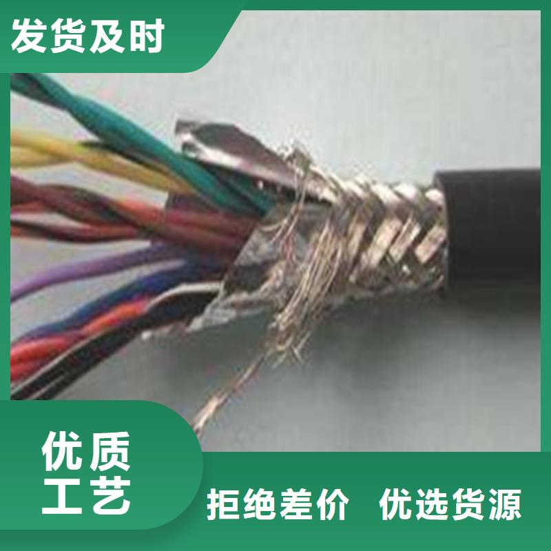 有现货的ZR-RYSPVP阻燃计算机电缆生产厂家