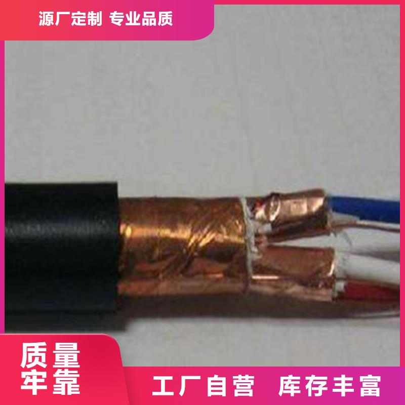 计算机屏蔽电缆DJYJP3VP35X2X0.75