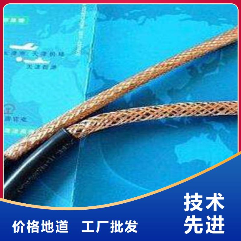 耐火计算机电缆NH-DJYVP32X2X2.5