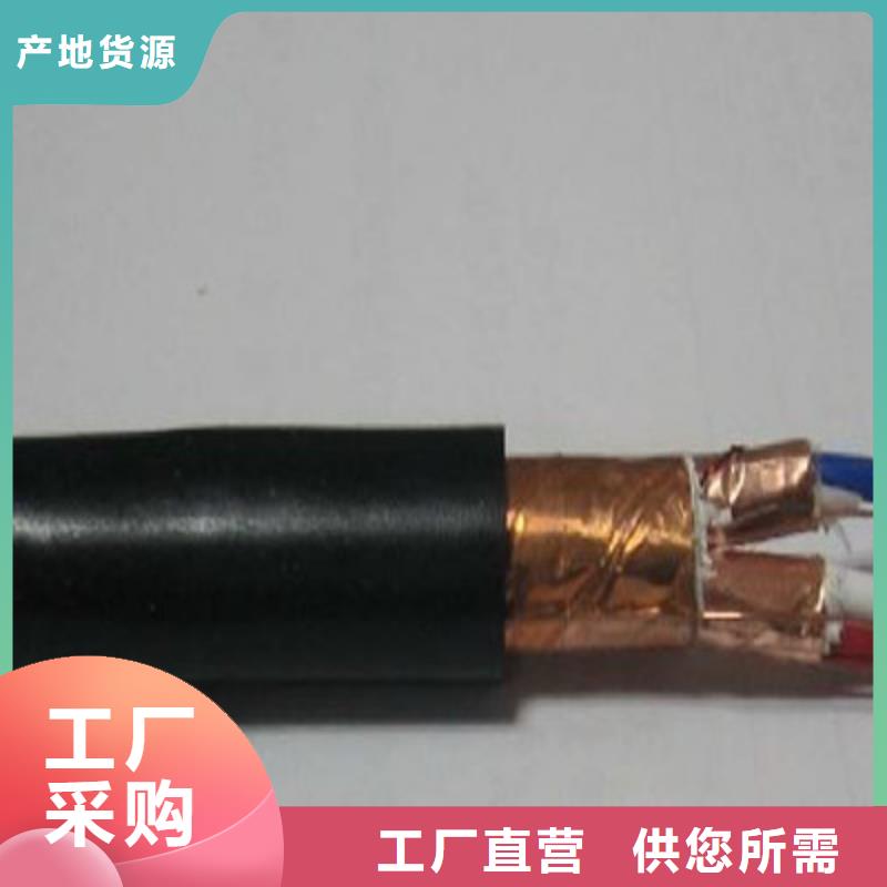 本地的耐火计算机电缆NH-DJYJVP3-22生产厂家