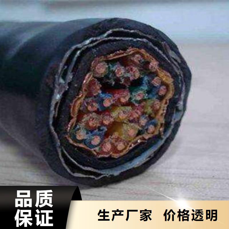 阻燃计算机电缆ZR-JYPVR22购买