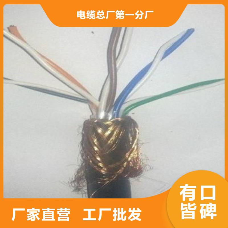 计算机屏蔽电缆DJVP2VP2-224X2X0.75